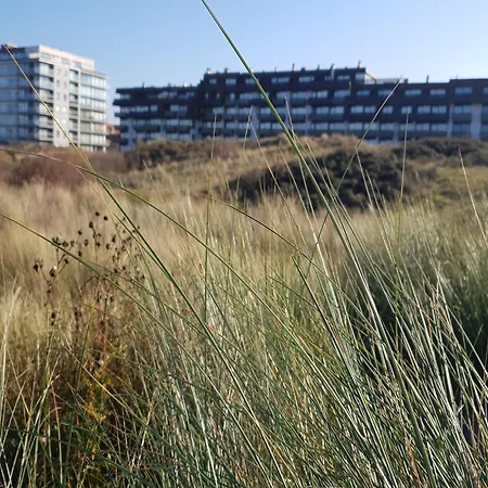 Plaza J2914 With Terrace And Side Sea View * Oostduinkerke-Bad